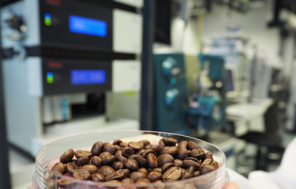 Das Foto zeigt eine Petrischale, in der Kaffeebohnen liegen. Im Hintergrund sieht man Laborgeräte, mit denen Lebensmittel analysiert werden.